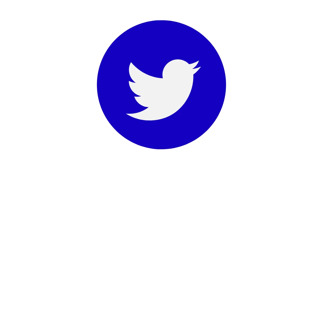 Twitter button 1